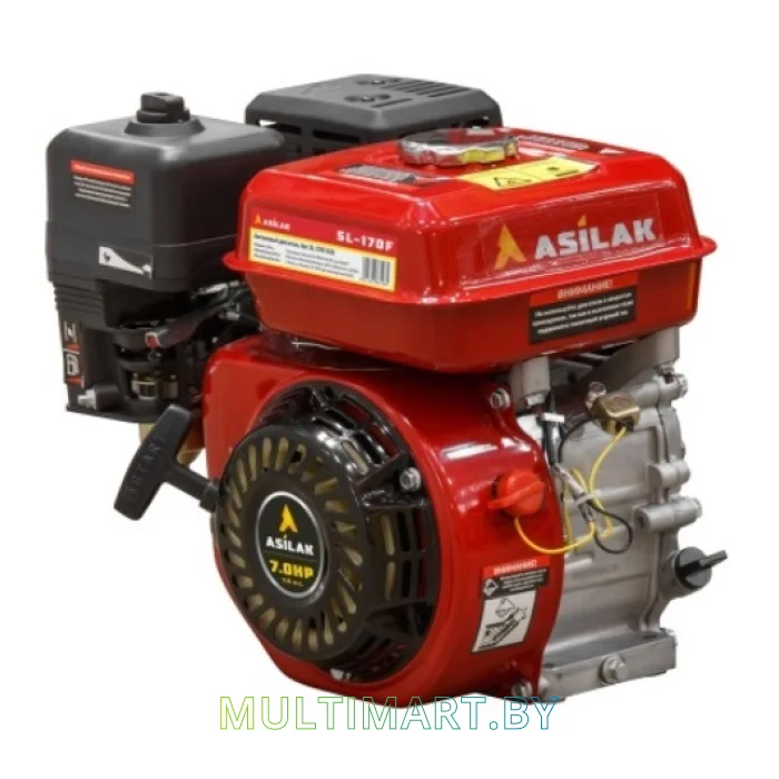 Бензиновый двигатель Asilak SL-170F-D20